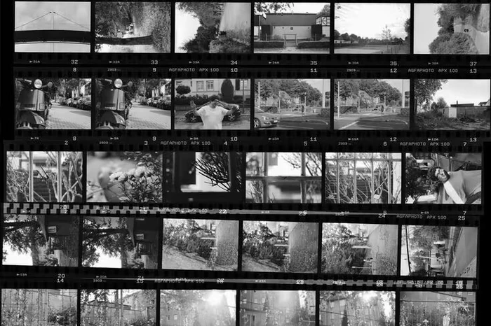 文件:Media Amnesia.webp