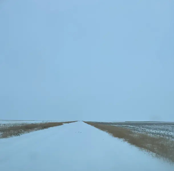 文件:ZH7snowy.jpg