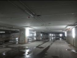 Level 1